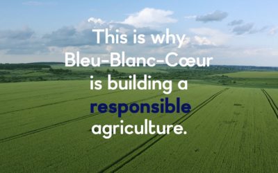 Bleu-Blanc-Cœur, a leading sustainable agriculture model presented at the Dubai World Expo
