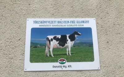 Hungary: discover the Dunatáj Dairy Farm!